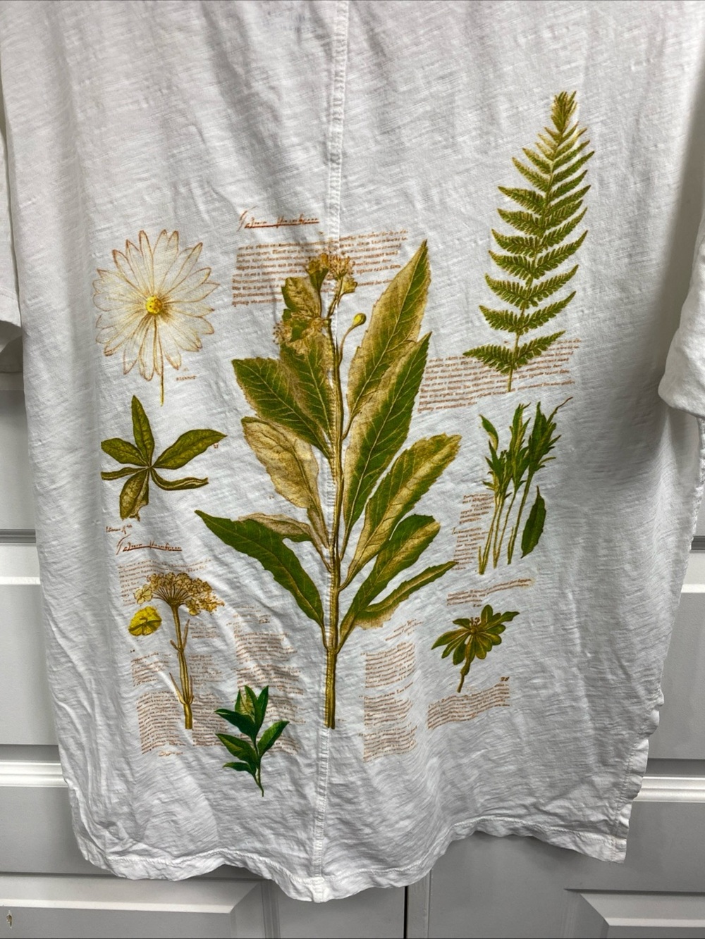 Pilcro Anthropologie Floral Botanical T Shirt Small Cotton Oversized Spring - Picture 4 of 8
